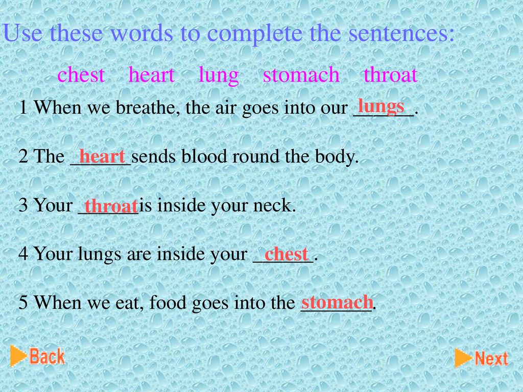 Use these words to complete the sentences: