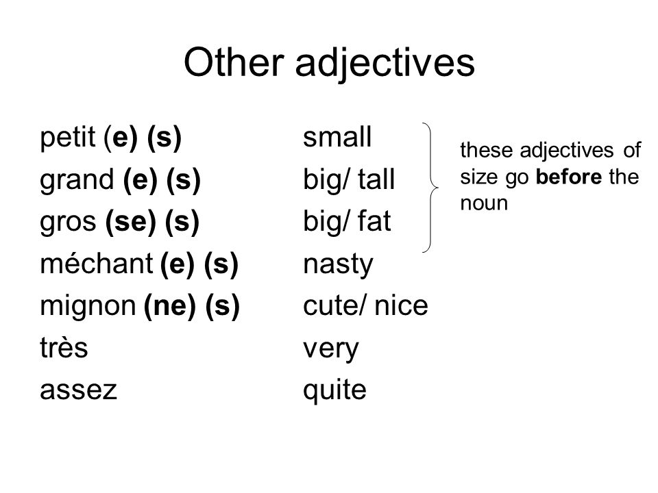 Other adjectives petit (e) (s) small grand (e) (s) big/ tall