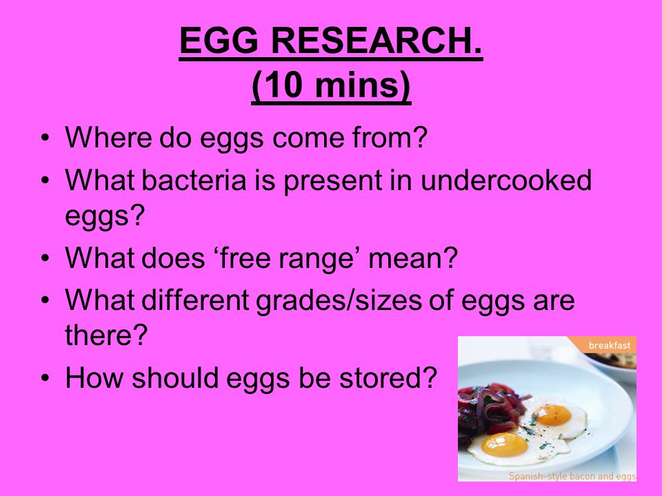 EGG RESEARCH. (10 mins) Where do eggs come from