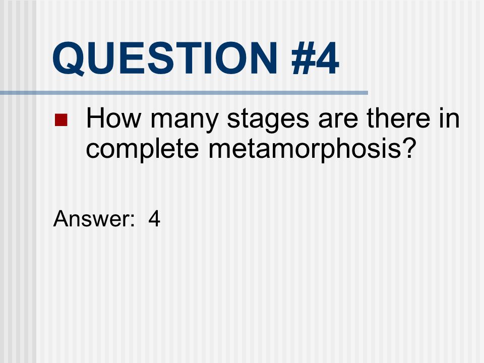 QUESTION #4 How many stages are there in complete metamorphosis