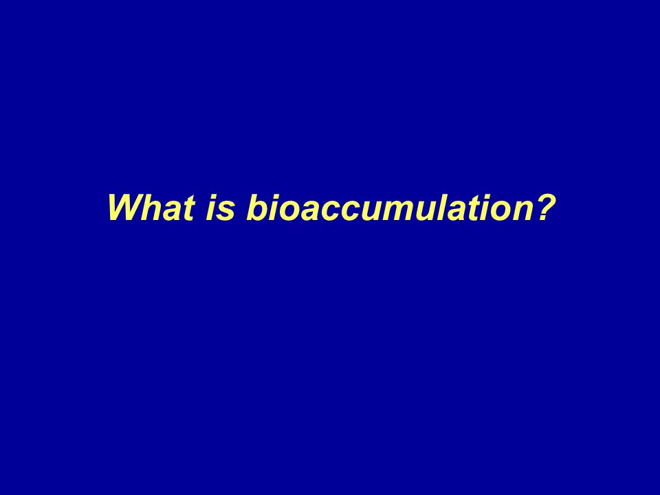 What is bioaccumulation