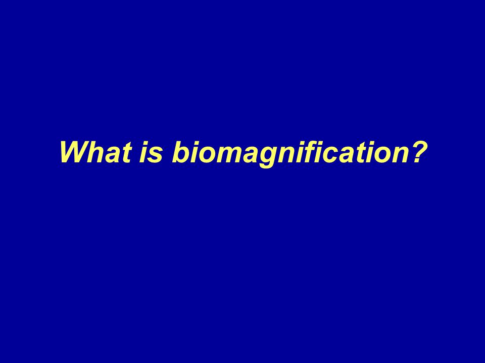 What is biomagnification