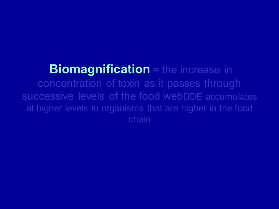 Biomagnification = the increase in concentration of toxin as it passes through successive levels of the food webDDE accumulates at higher levels in organisms that are higher in the food chain