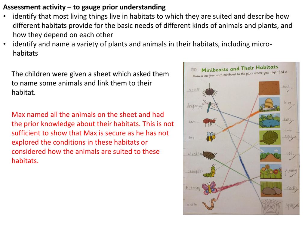 Living things and their Habitats Year 2-Max - ppt download