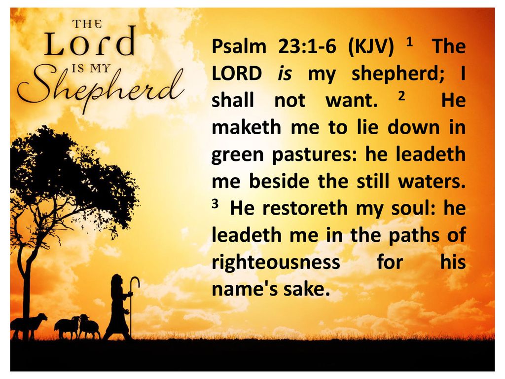Psalm 23 The Lord Is My Shepherd No 3 Niv Bible Verse Print Snow And Company