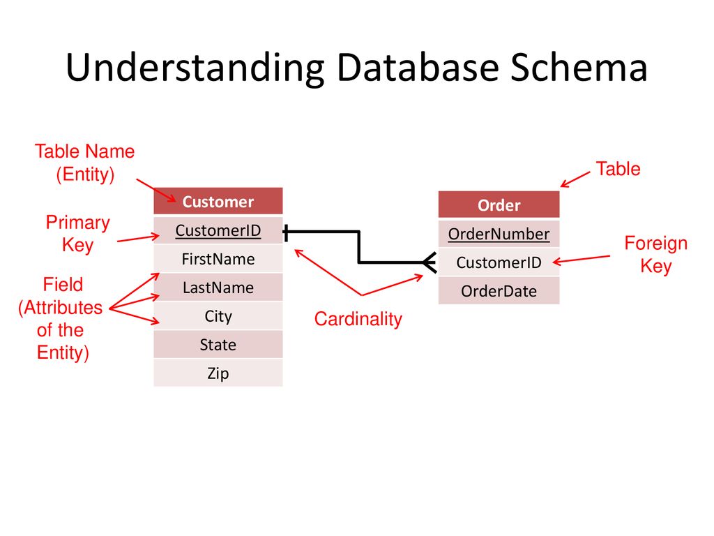 dbschema cardinality