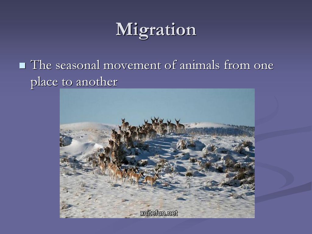 Seasonal Changes Vocabulary Review. - ppt download Seasonal Changes Vocabulary Review. - ppt download