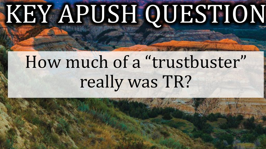 apush trust buster