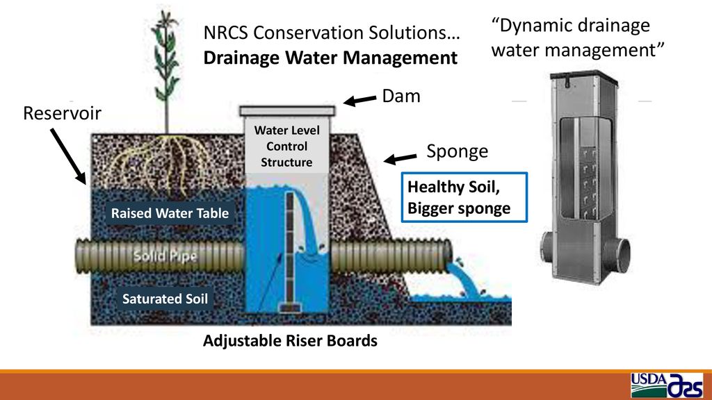 Controlled Drainage/Drainage Water Management (NRCS 554)