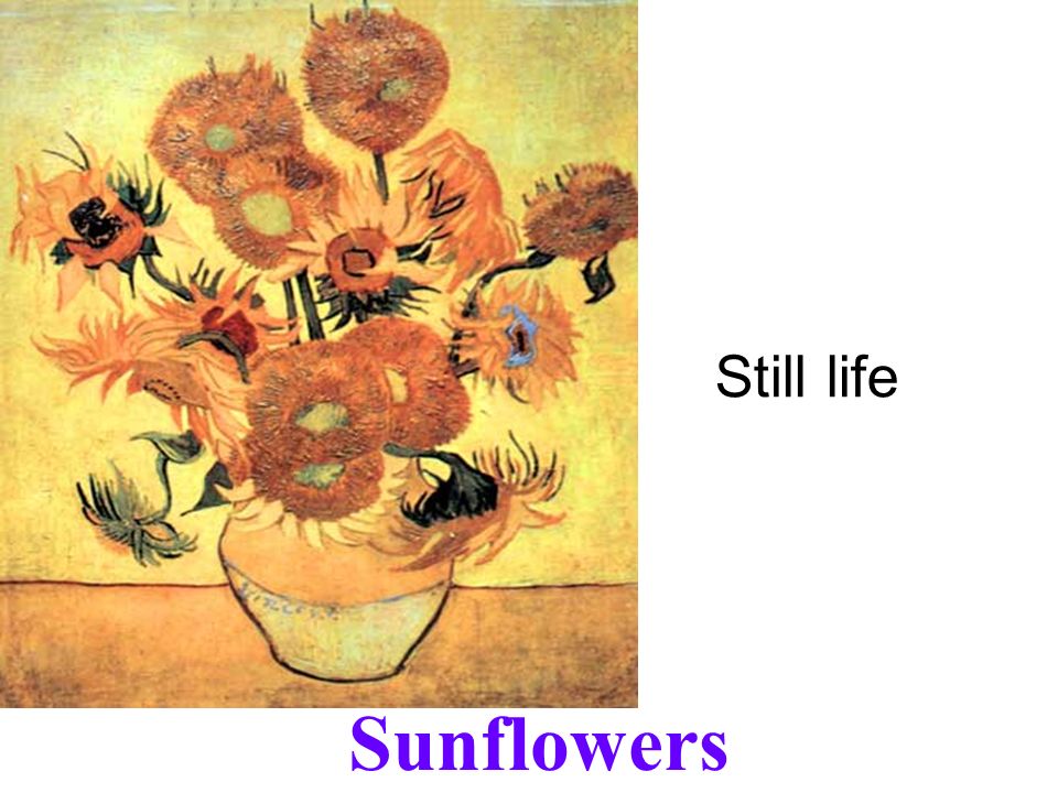 Still life Sunflowers