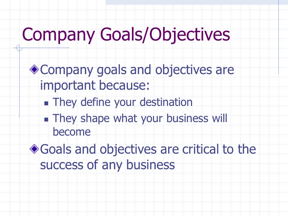 Company Goals/Objectives