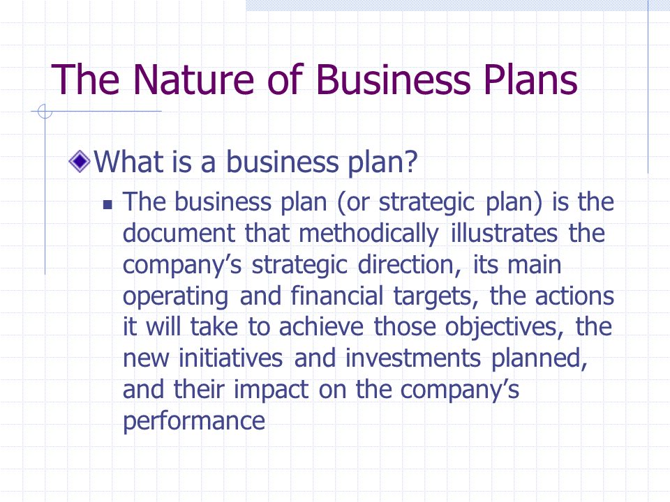 The Nature of Business Plans