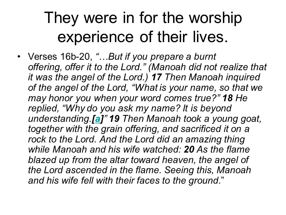 They were in for the worship experience of their lives.