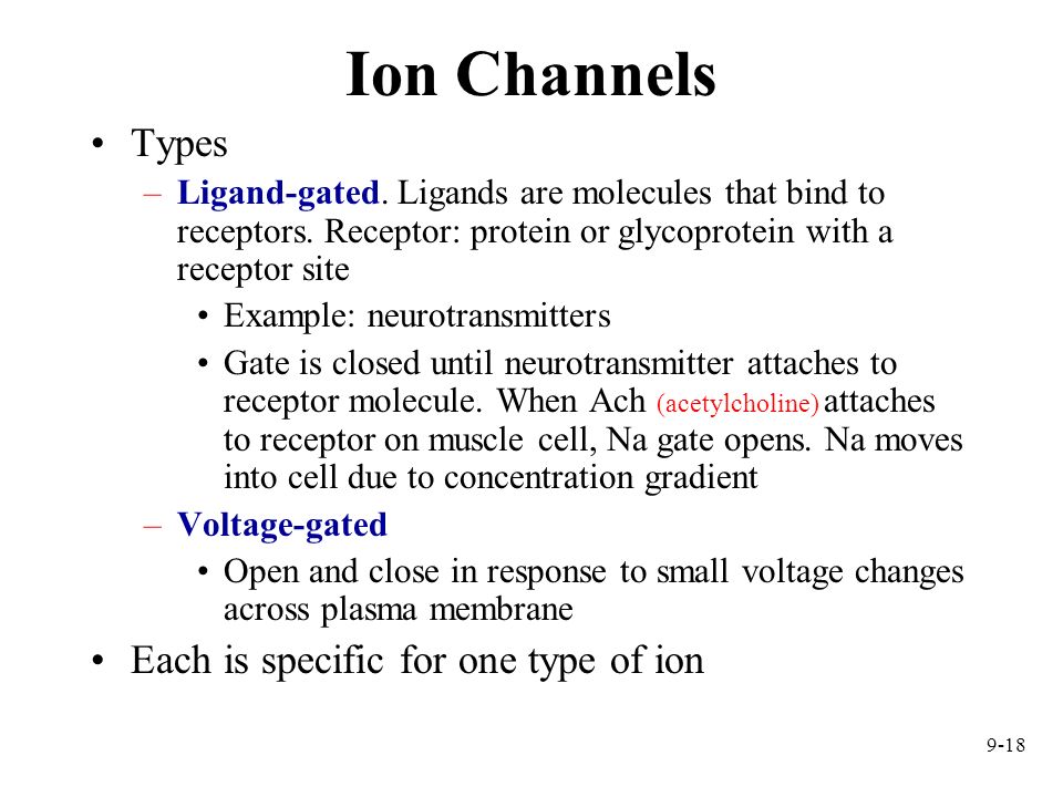 Ion Channels Types Each is specific for one type of ion