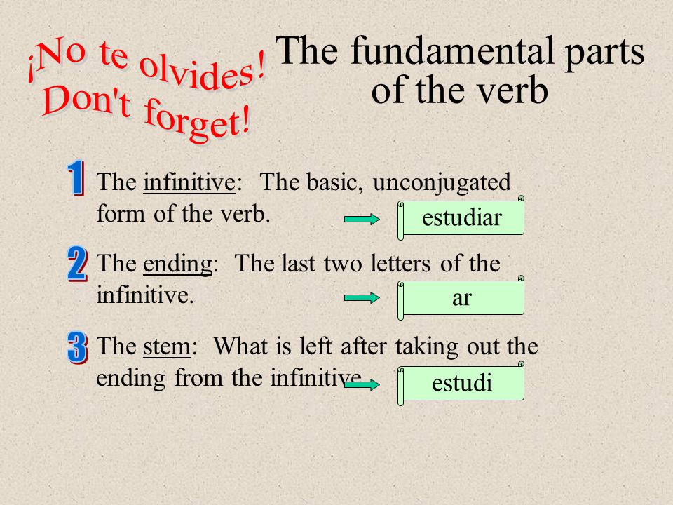 The fundamental parts of the verb