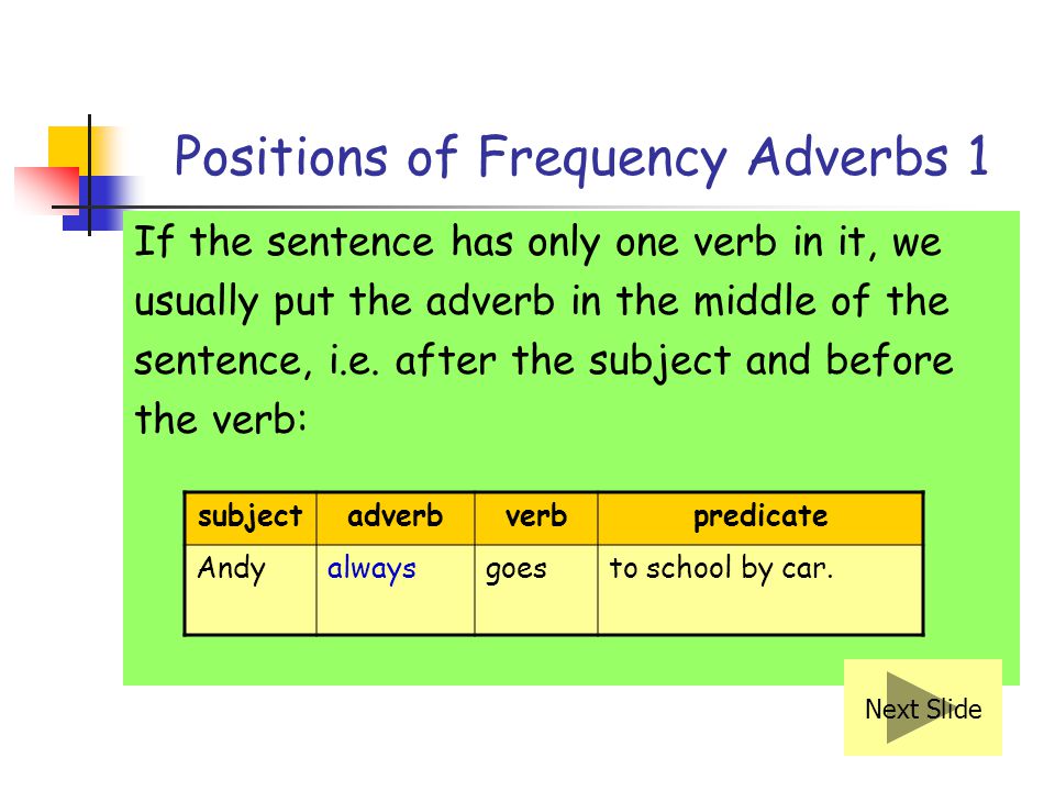Positions of Frequency Adverbs 1