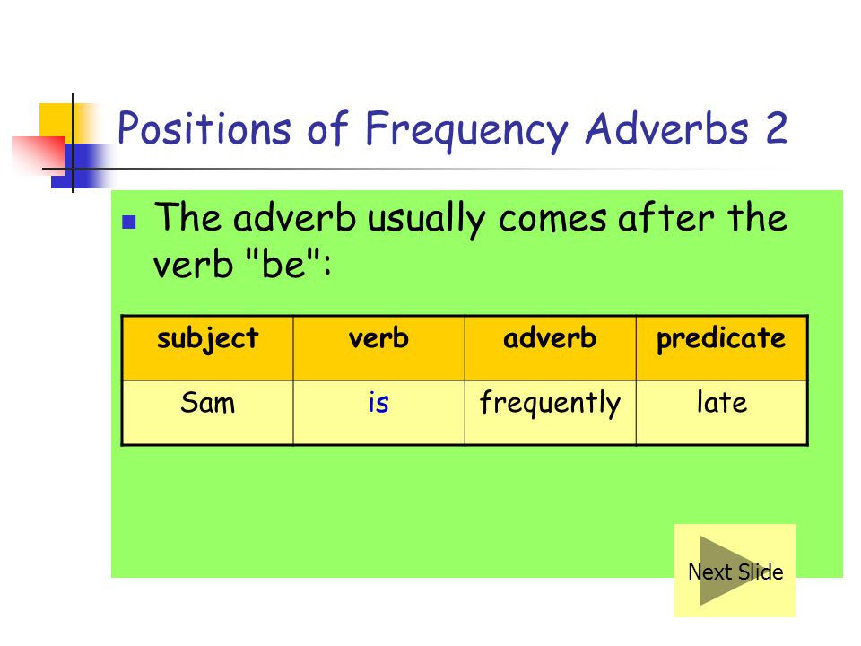 Positions of Frequency Adverbs 2