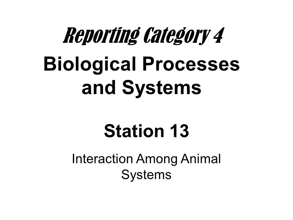 Interaction Among Animal Systems