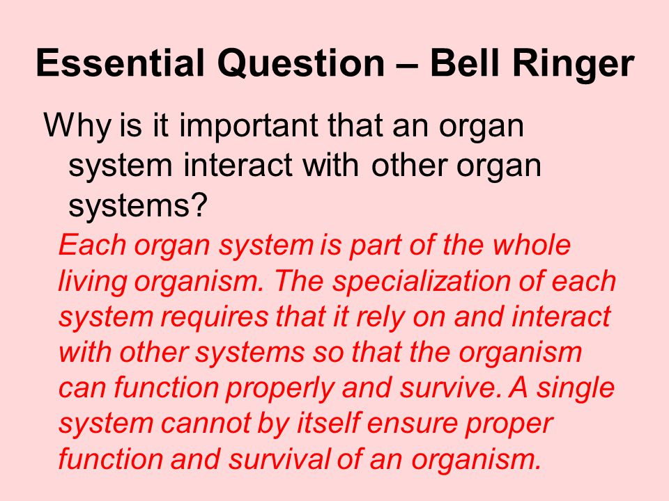 Essential Question – Bell Ringer