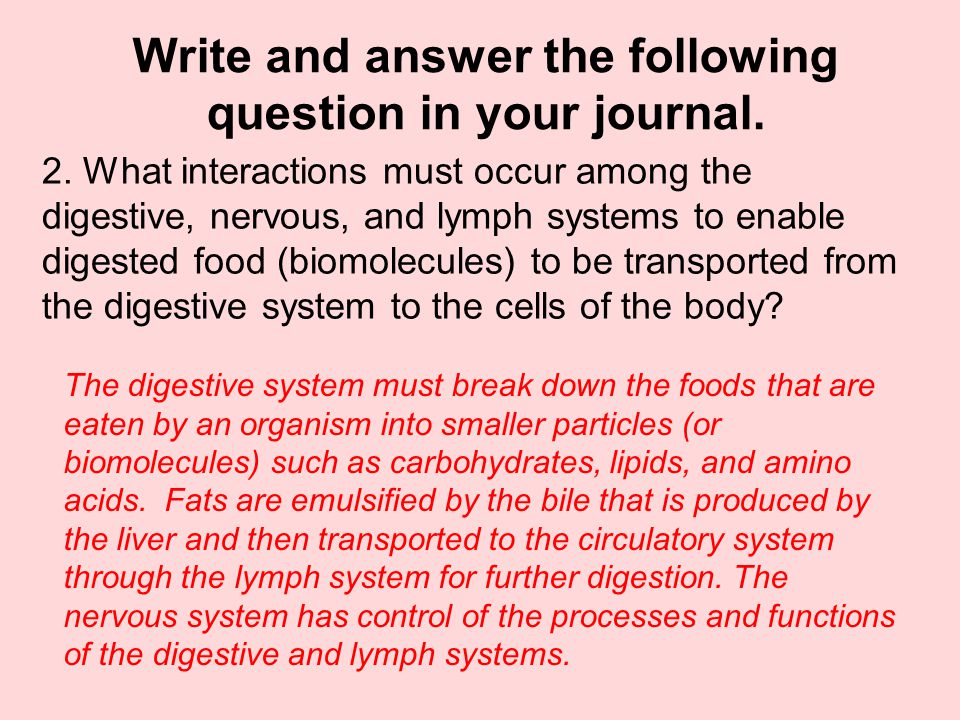 Write and answer the following question in your journal.