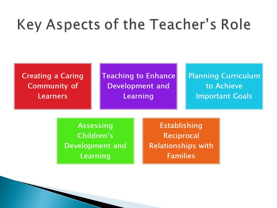 Key Aspects of the Teacher’s Role