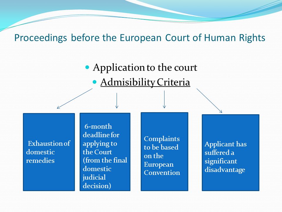 Proceedings before the European Court of Human Rights