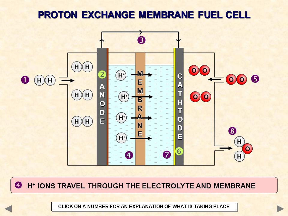         PROTON EXCHANGE MEMBRANE FUEL CELL