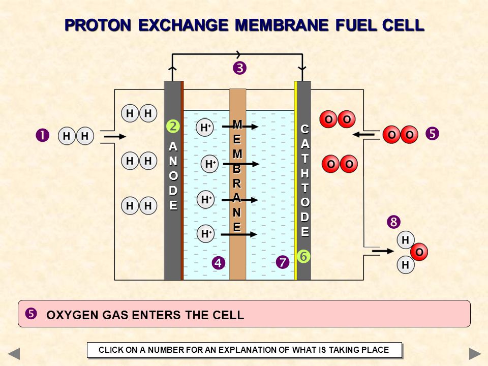         PROTON EXCHANGE MEMBRANE FUEL CELL