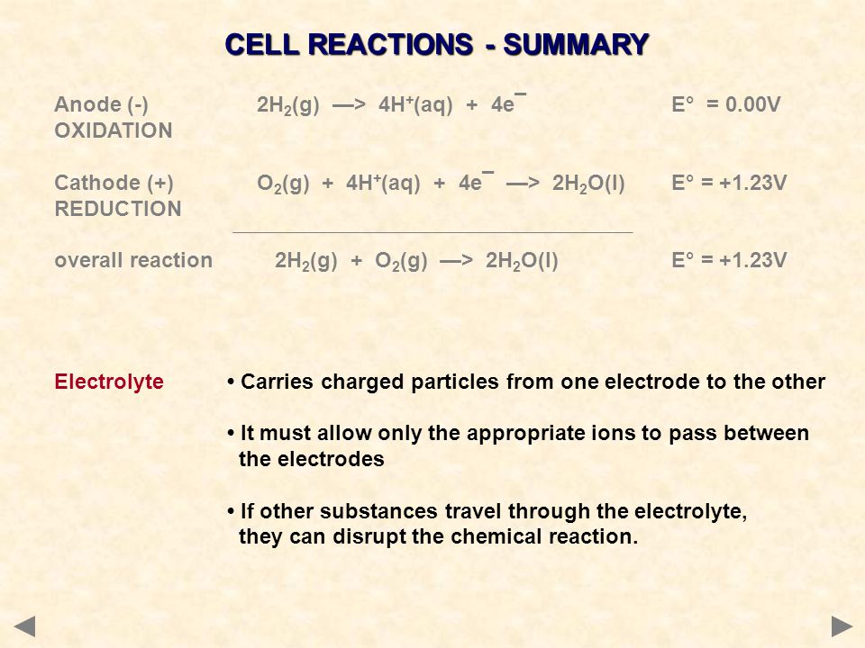 CELL REACTIONS - SUMMARY