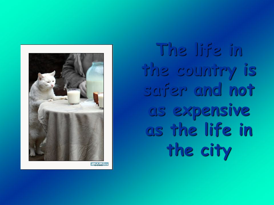 The life in the country is safer and not as expensive as the life in the city