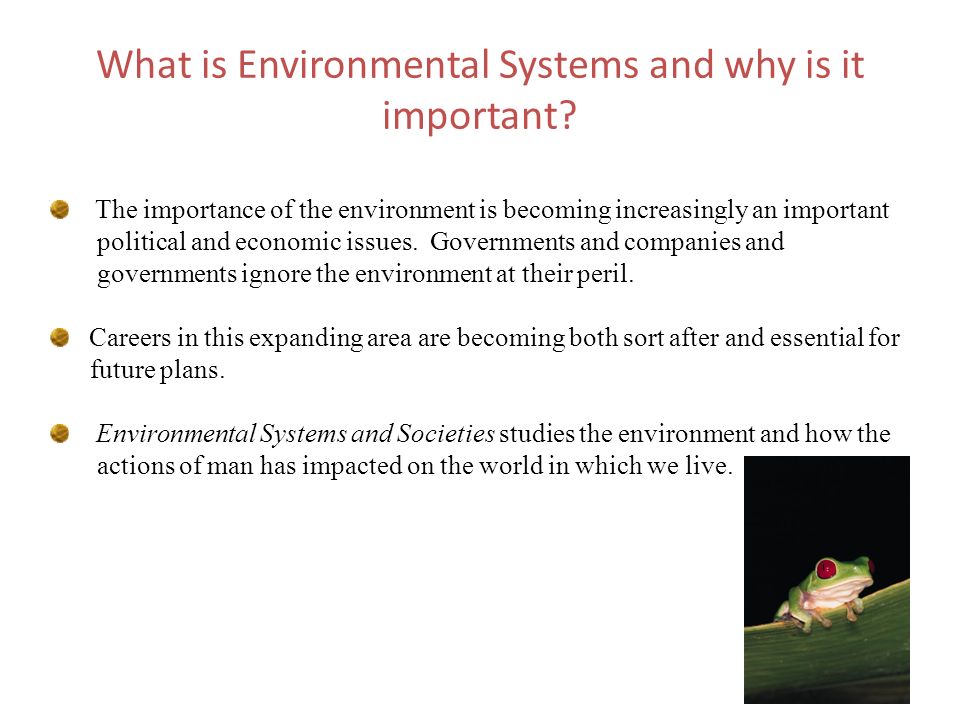 What is Environmental Systems and why is it important