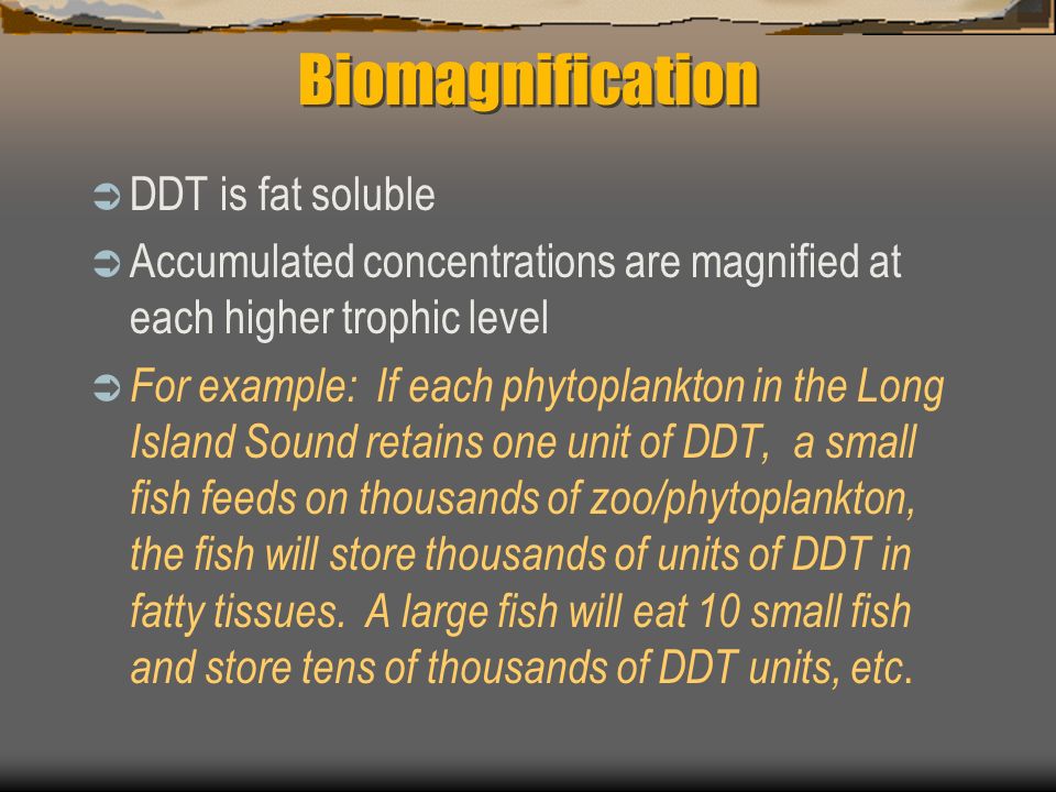 Biomagnification DDT is fat soluble
