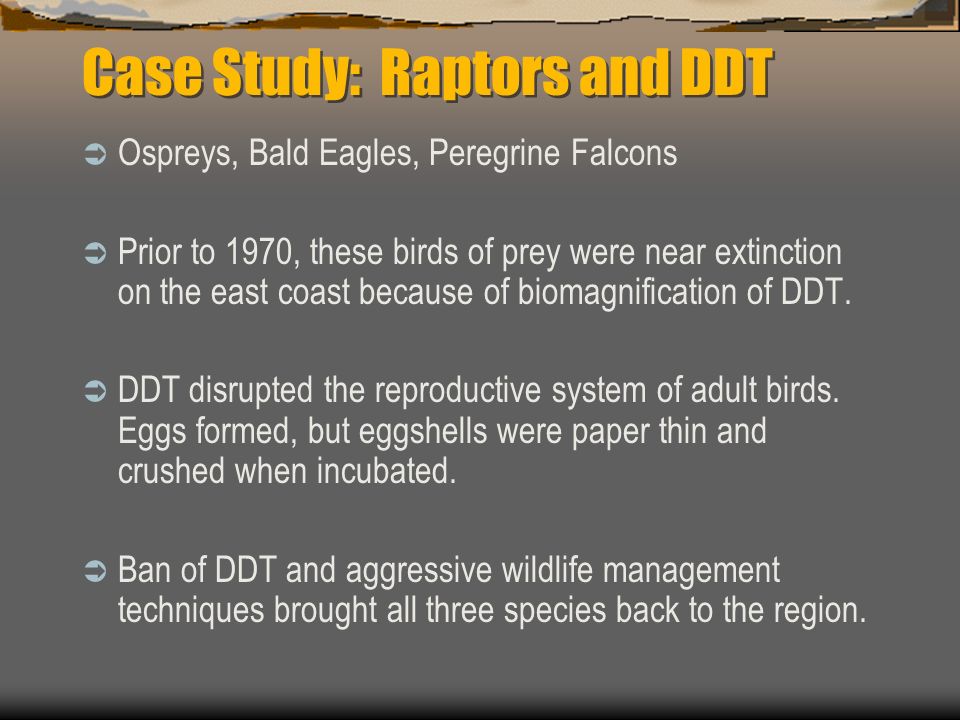Case Study: Raptors and DDT