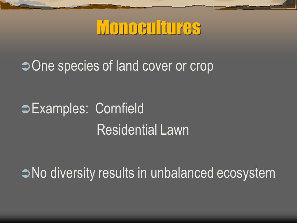 Monocultures One species of land cover or crop Examples: Cornfield