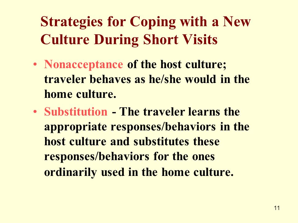 Strategies for Coping with a New Culture During Short Visits