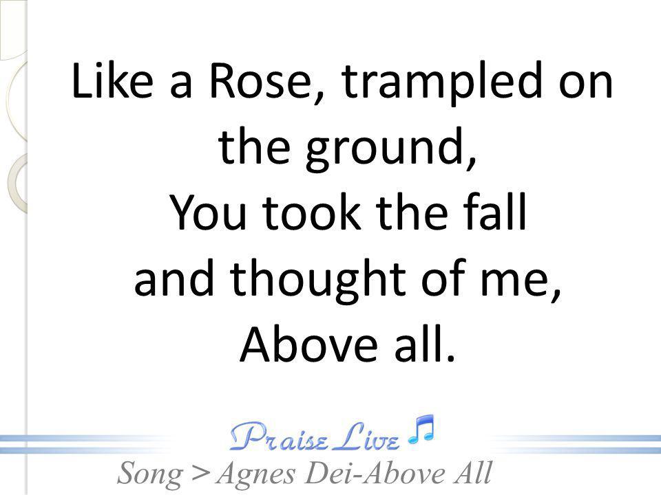 Like a Rose, trampled on the ground, You took the fall and thought of me, Above all.