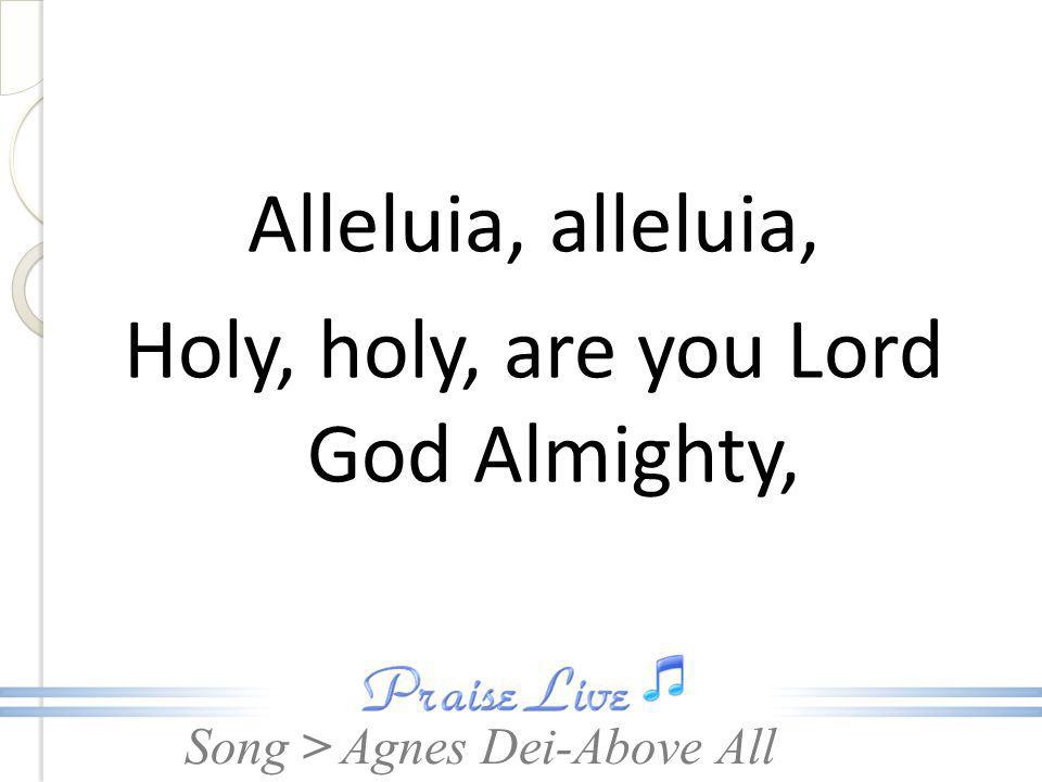 Alleluia, alleluia, Holy, holy, are you Lord God Almighty,