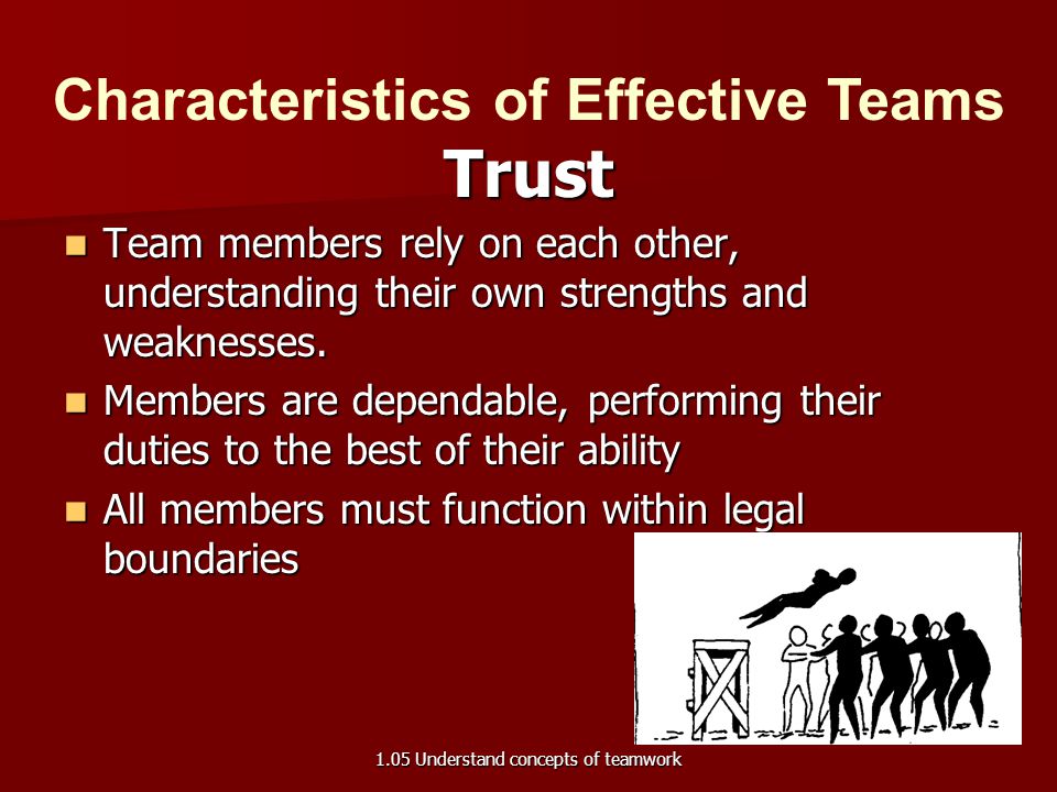 Characteristics of Effective Teams