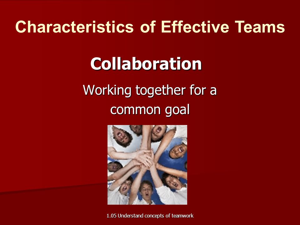 Working together for a common goal