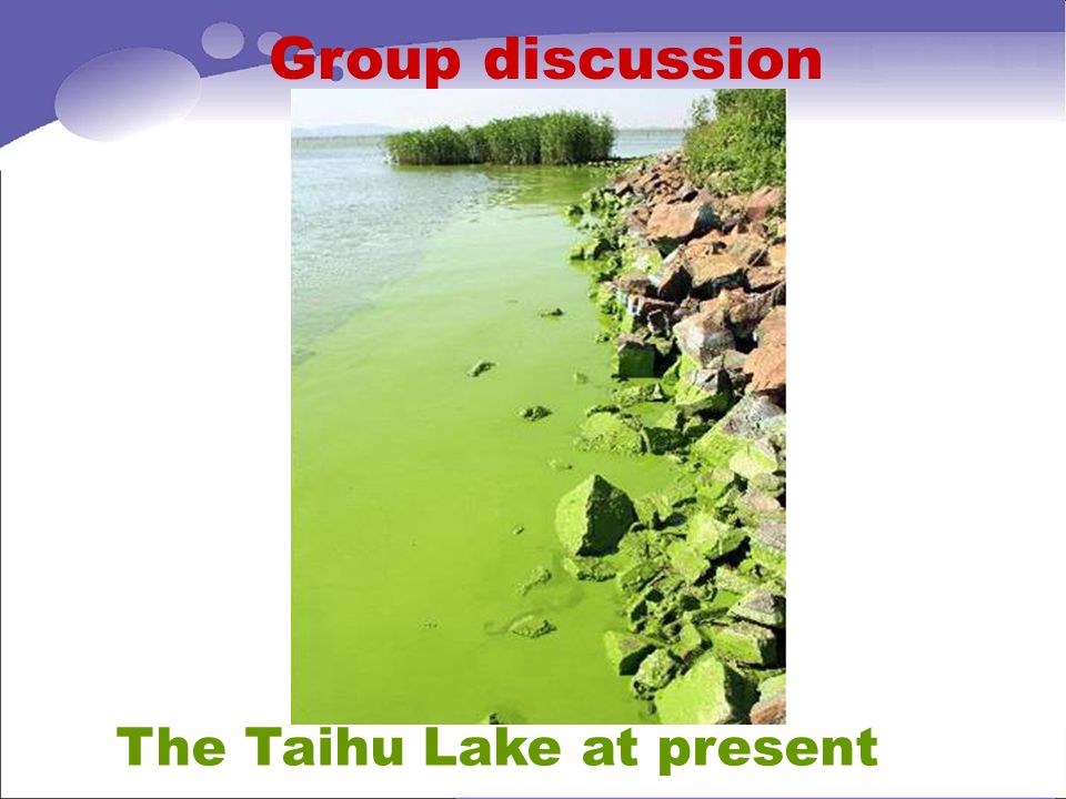 Group discussion The Taihu Lake at present