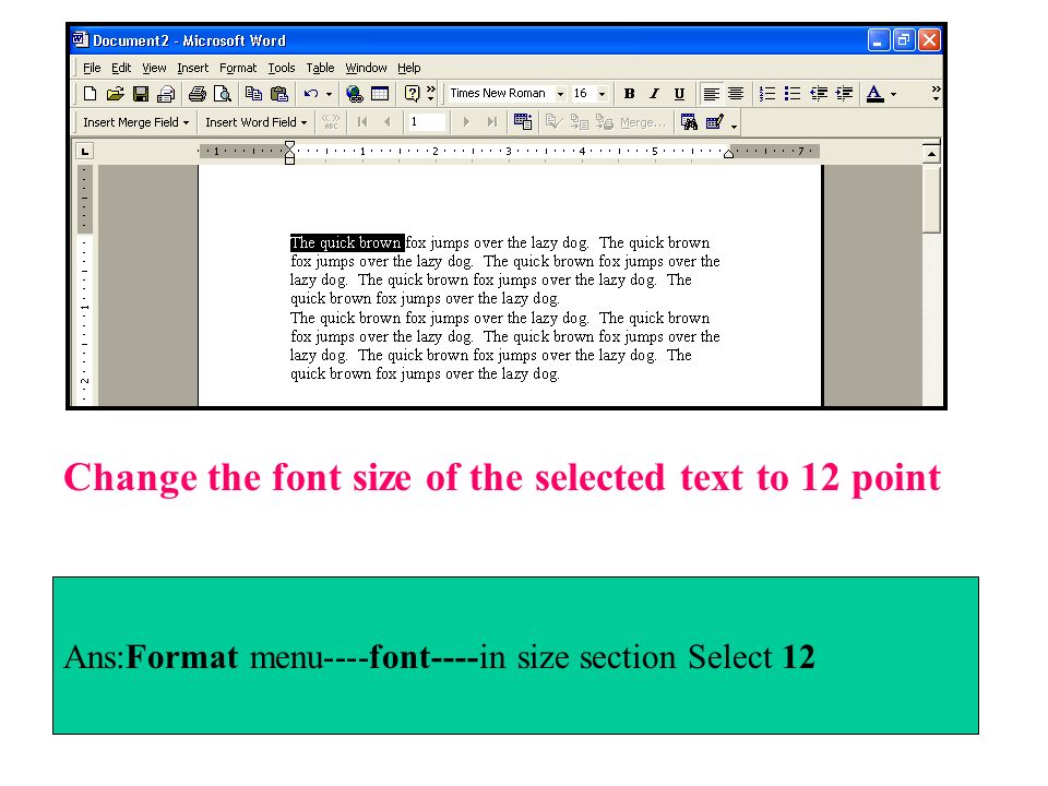 Change the font size of the selected text to 12 point