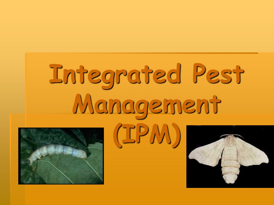 Integrated Pest Management (IPM)