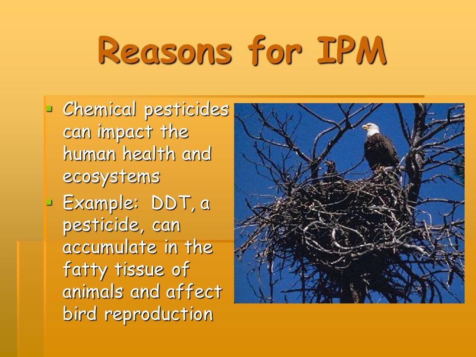 Reasons for IPM Chemical pesticides can impact the human health and ecosystems.
