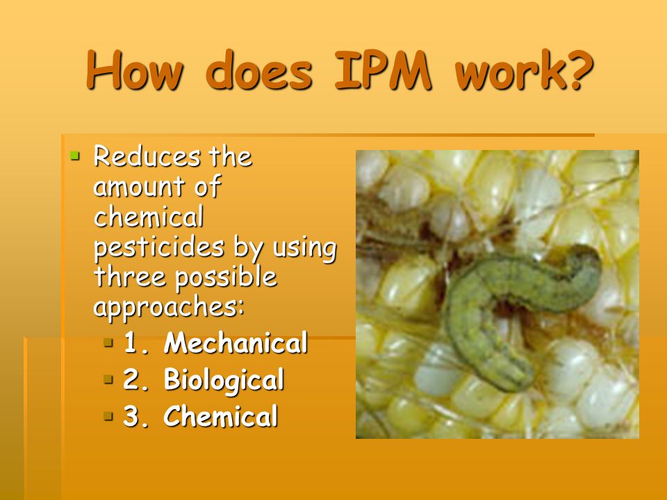 How does IPM work Reduces the amount of chemical pesticides by using three possible approaches: 1. Mechanical.