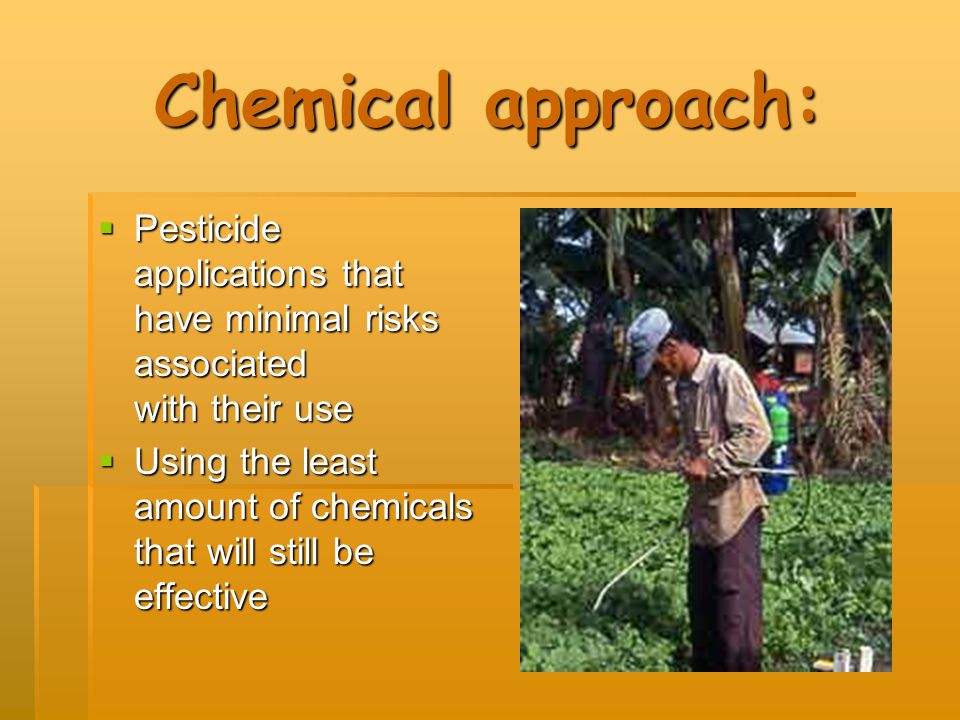 Chemical approach: Pesticide applications that have minimal risks associated with their use.