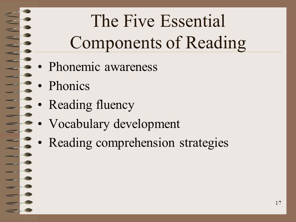 The Five Essential Components of Reading