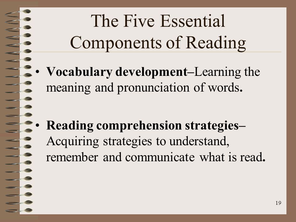The Five Essential Components of Reading