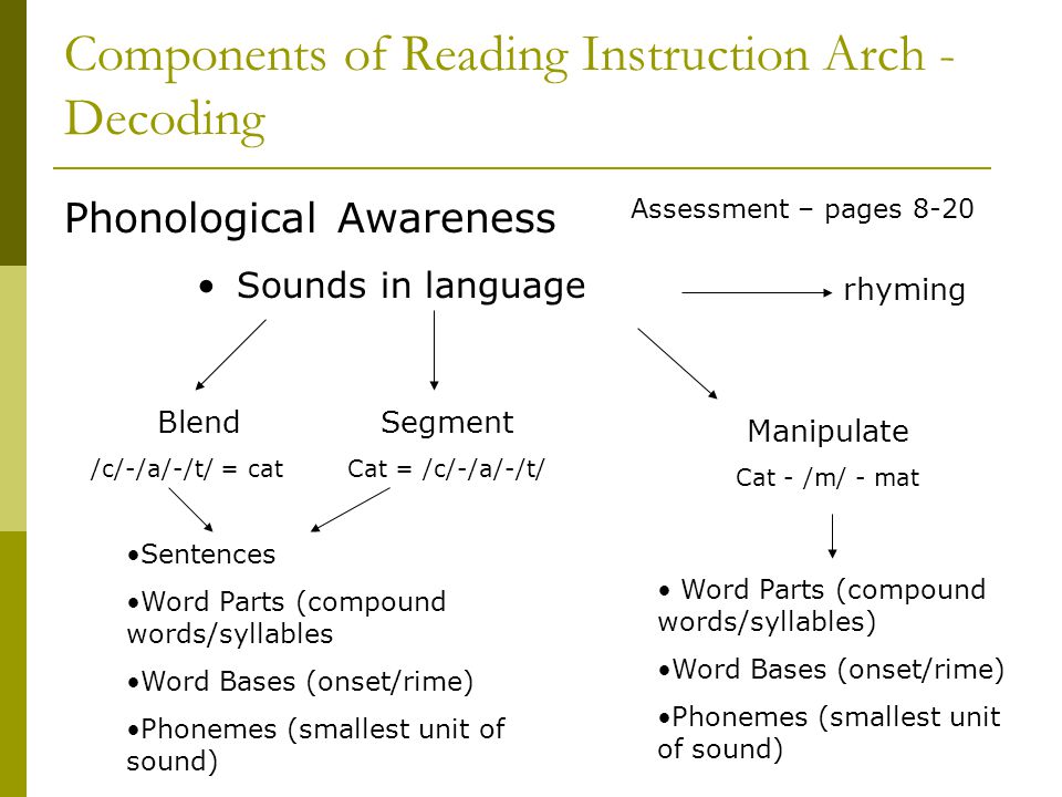 Components of Reading Instruction Arch - Decoding