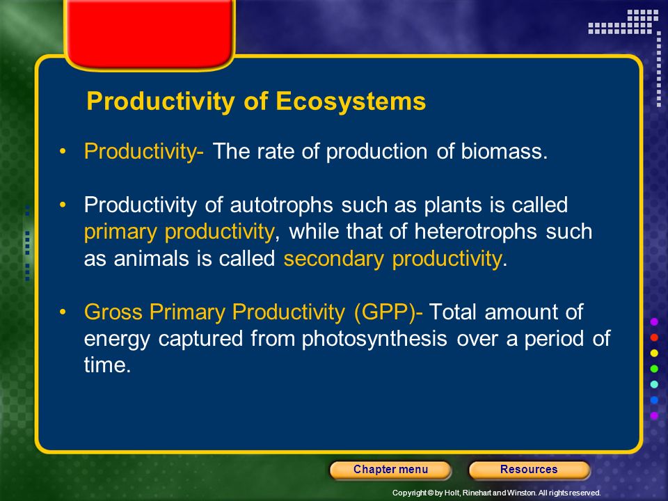 Productivity of Ecosystems