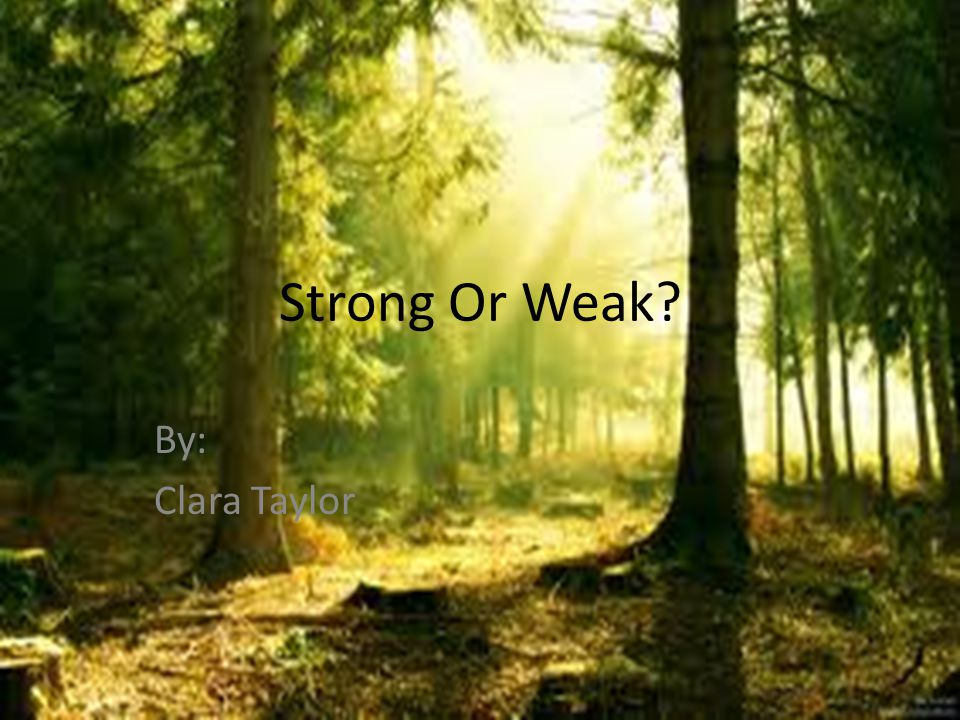 strong or weak? by: clara taylor.